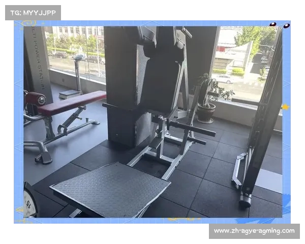 海南健身器材专卖店的选购指南与推荐 海南健身器材专卖店的选购指南与推荐