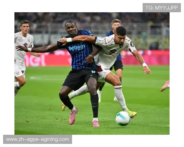 意甲联赛中球队组成及数量统计