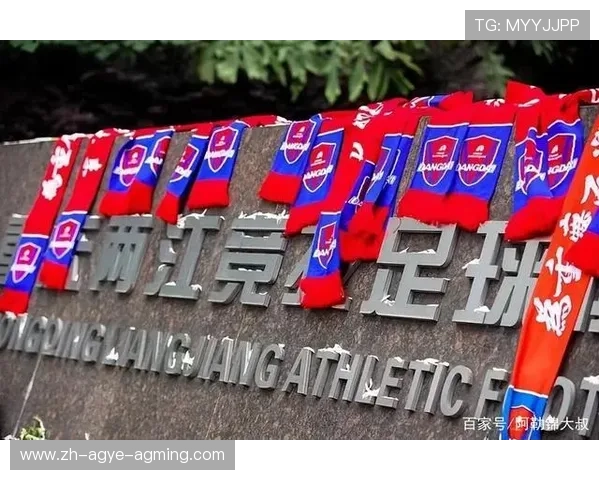 重庆力帆外援体系与青训衔接的双轨制探索